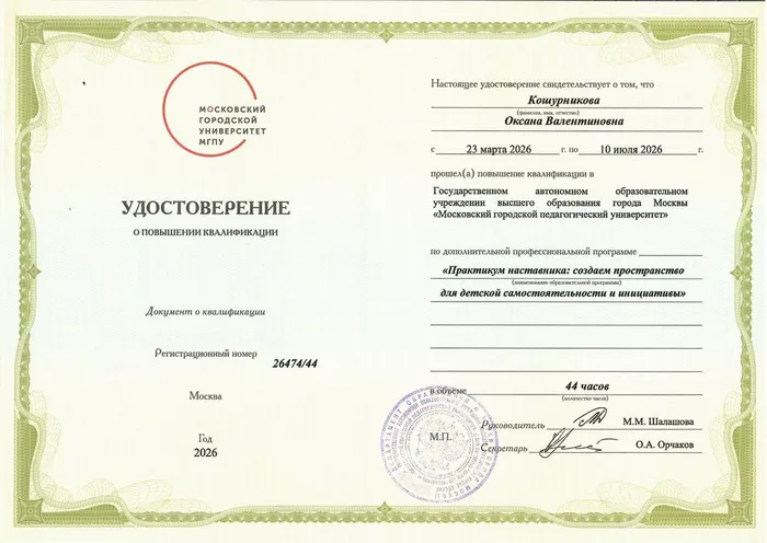 Кошурникова практикум наставника